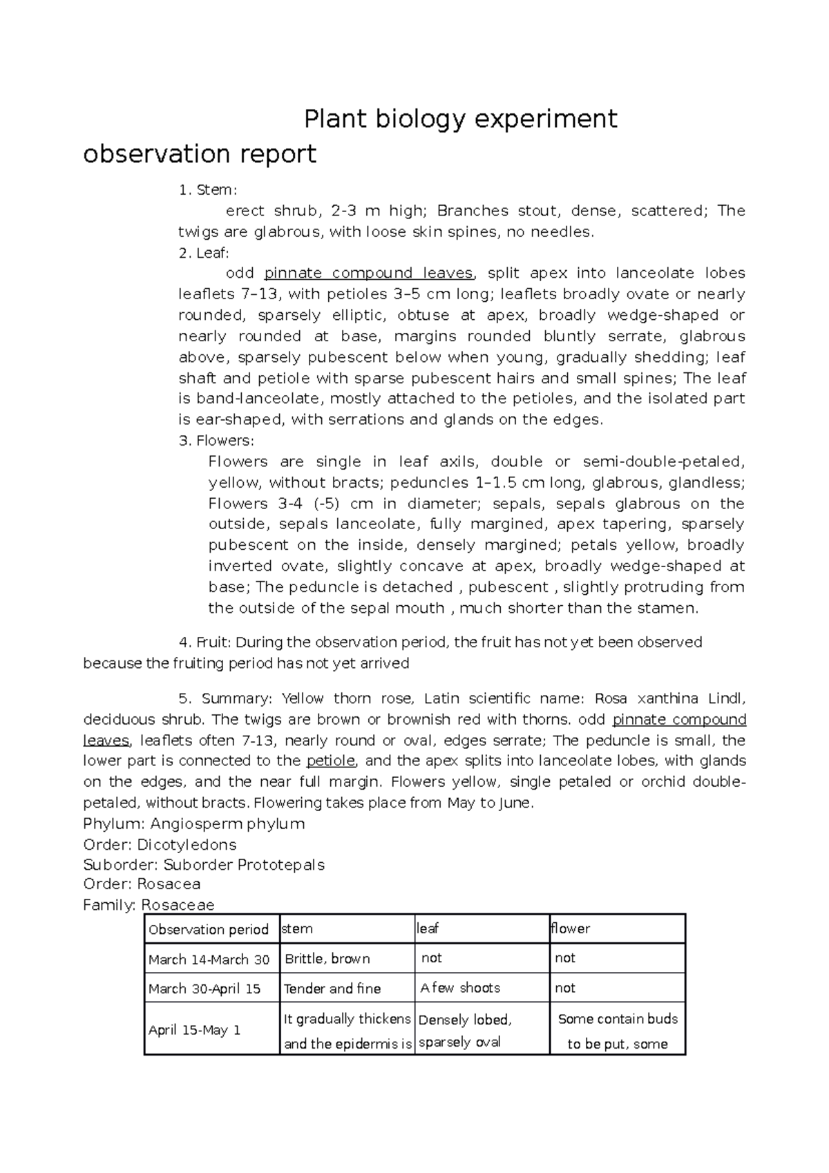 Plant biology experiment observation report Stem erect shrub, 23 m