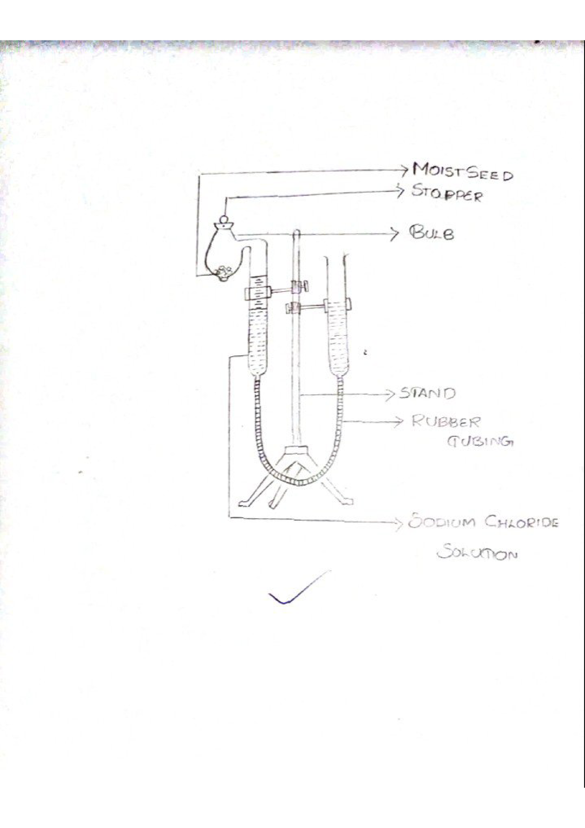 ganong's respiroscope experiment