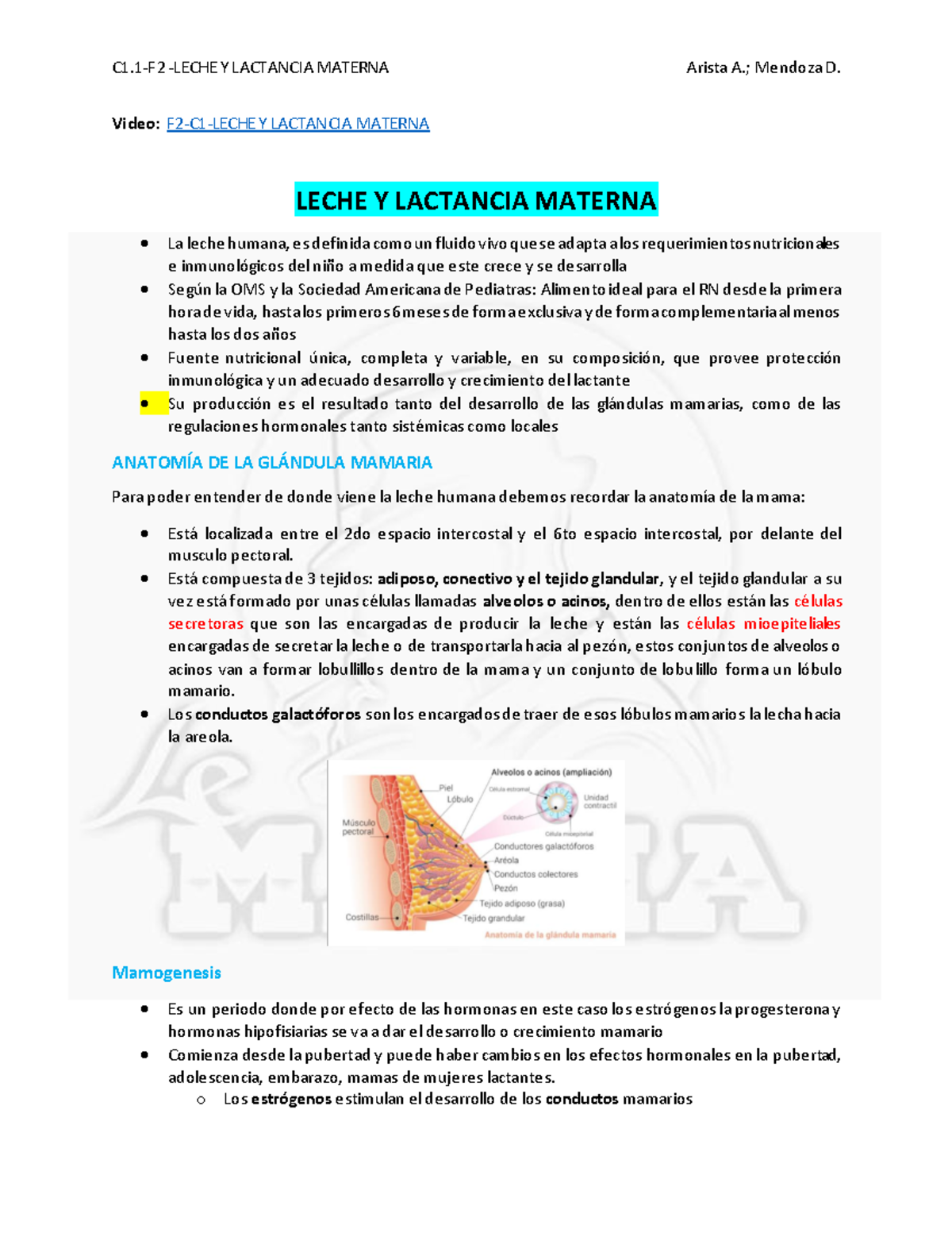 1.1-F2 (A)- Leche Y Lactancia Materna - Pediatria 070001 - UCSM - Studocu