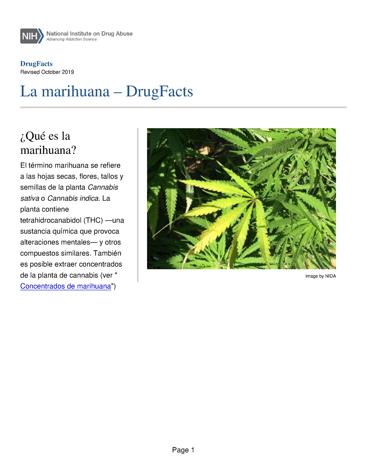 Estudios Sobre El Cannabis - DrugFacts Revised October 2019 La ...