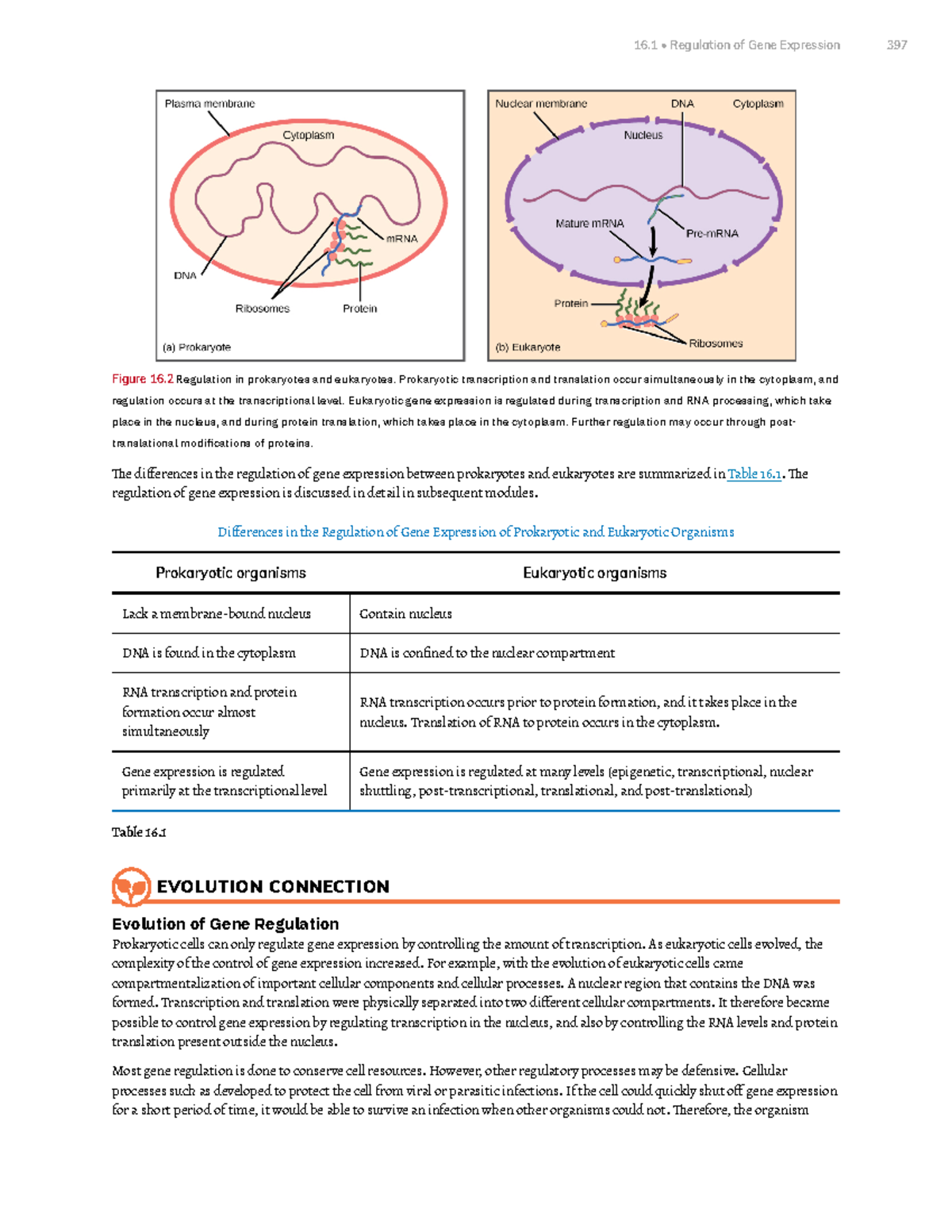 Chapter 16 Gene Expression Part 2 - Figure 16 Regulation In Prokaryotes ...