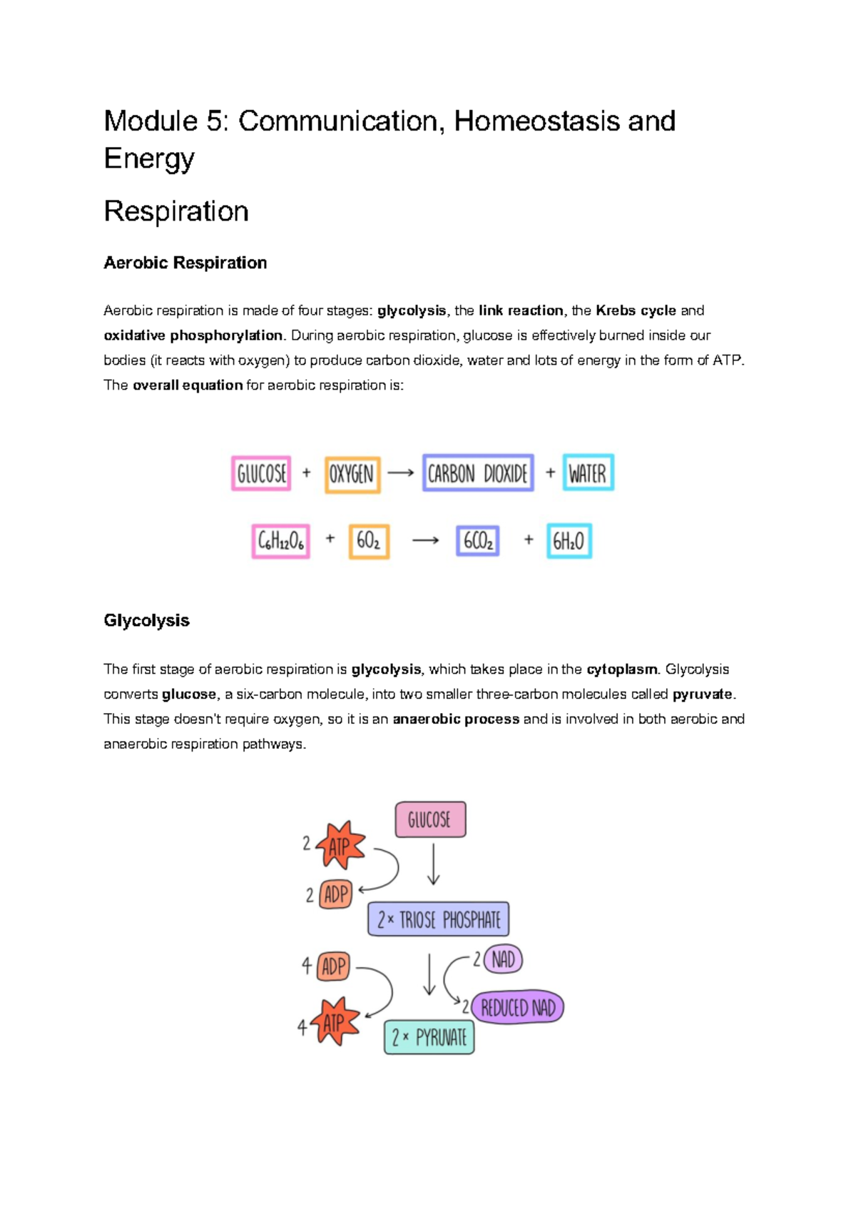 Module+5+Respiration - Module 5: Communication, Homeostasis and Energy ...