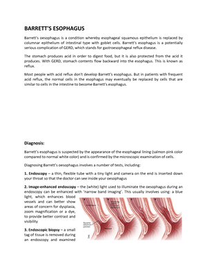 Anatomy QBank Volume Two Thorax - Author: Hosam Eldeen Elsadig Gasmalla ...