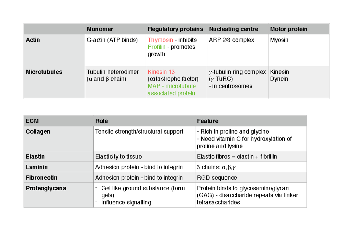 Actin, Microtubules and the ECM Notes Monomer Regulatory proteins