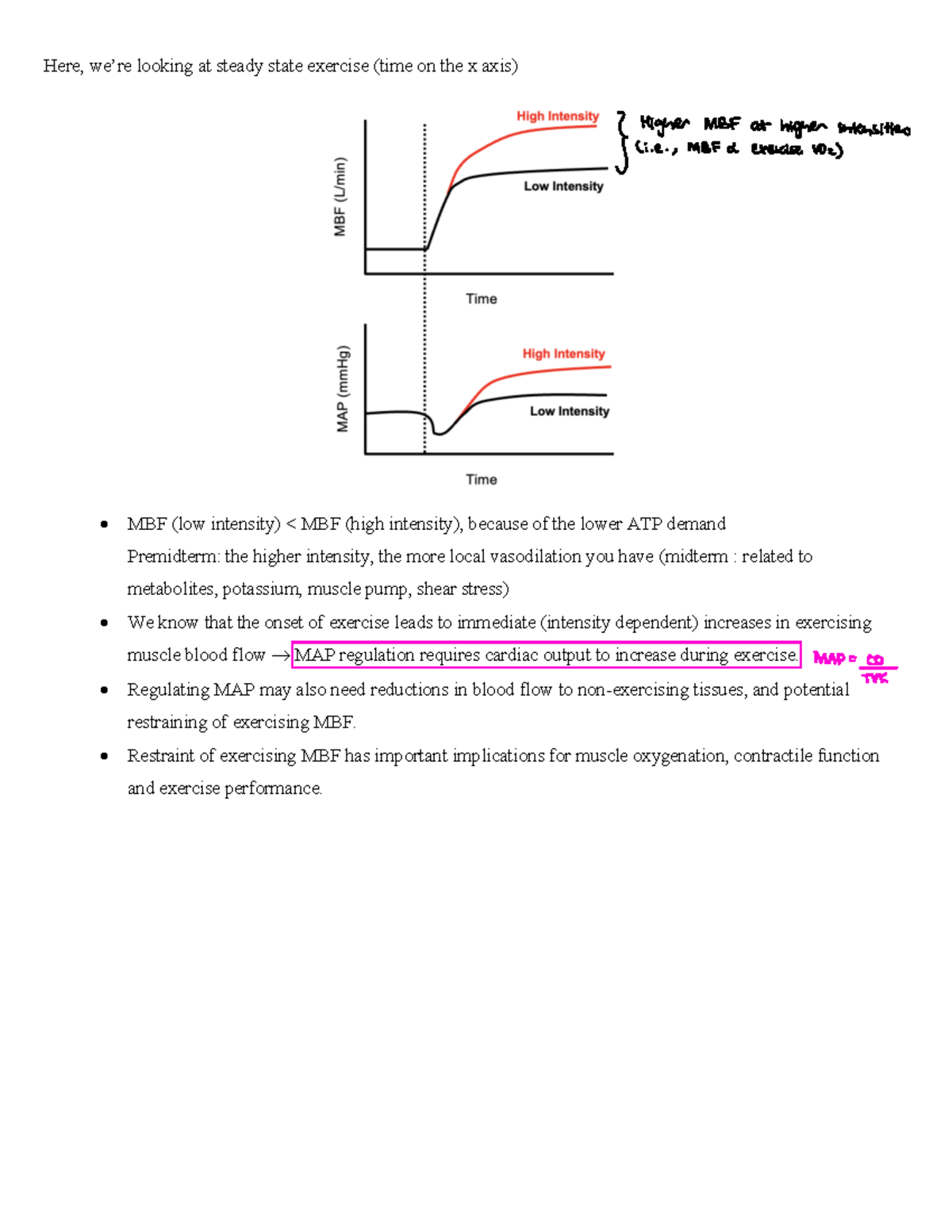 Low and high muscle blood flow - Here, we’re looking at steady state ...