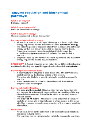 Chapter 5 photosynthesis + cell resp Notes - Chapter 5 Photosynthesis ...