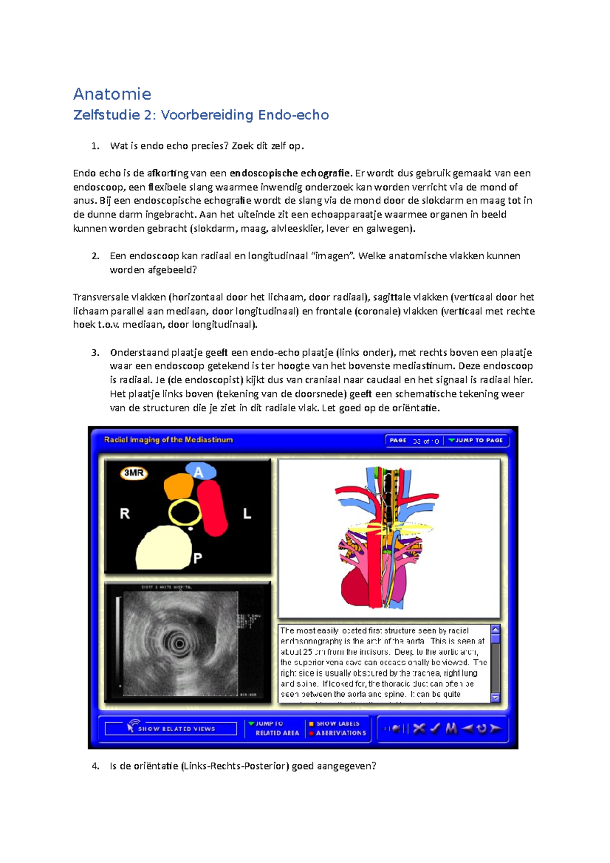 zelfstudie-2-voorbereiding-endo-echo-anatomie-pathofysiologie