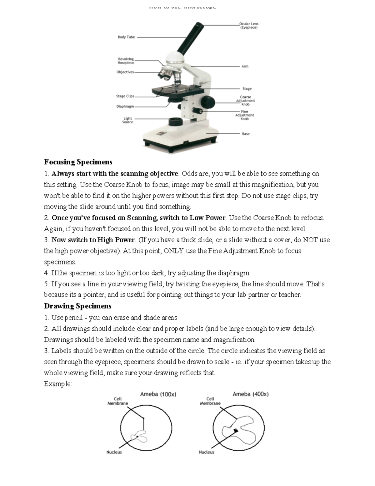 How to use microscope Kinh hien vi Focusing Specimens Always start with the scanning