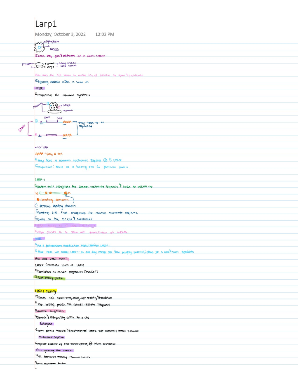 LARP 1 - Reading Notes - LARP 1 Protein - BIO 160 - Studocu