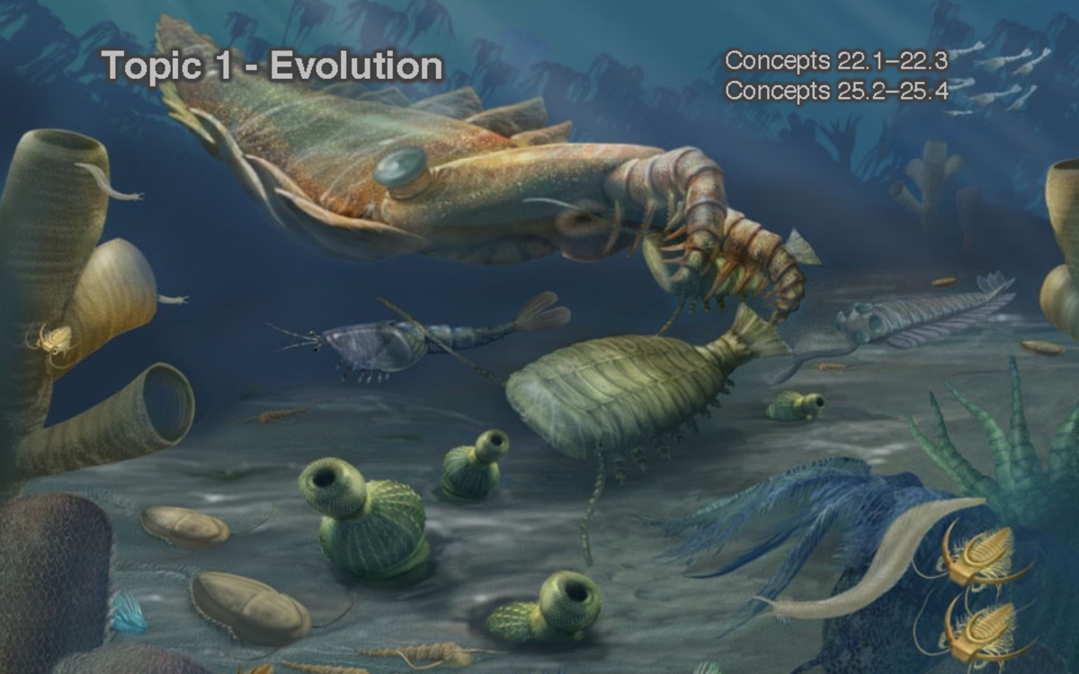 BIOL 1020 Topic 1 - Evolution - Topic 1 - Evolution Concepts 22–22 ...