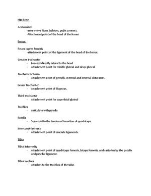Ruminant anatomy - clinical - Ruminant anatomy Flank laparotomy - Three ...