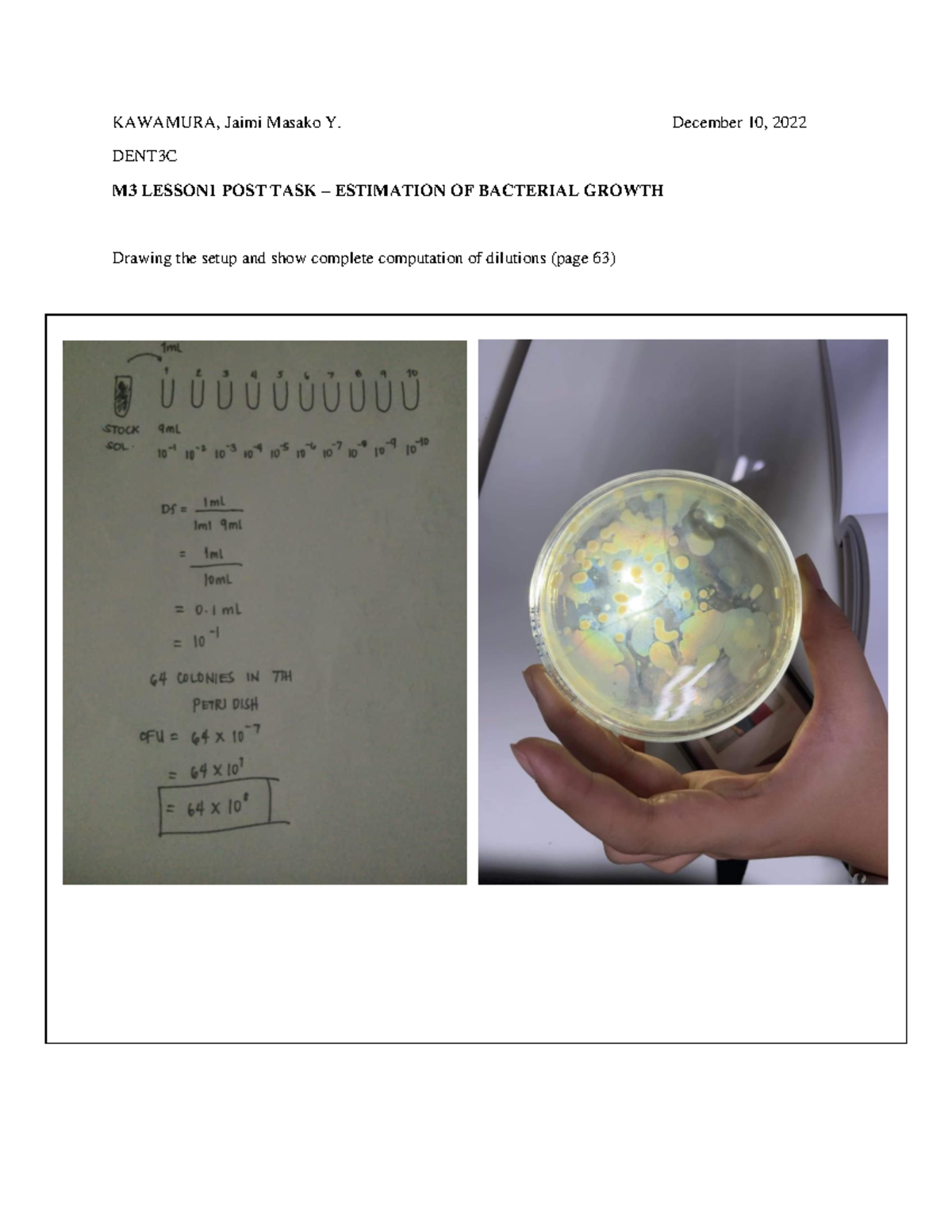 M3 Lesson 1 POST TASK – Estimation OF Bacterial Growth - KAWAMURA ...