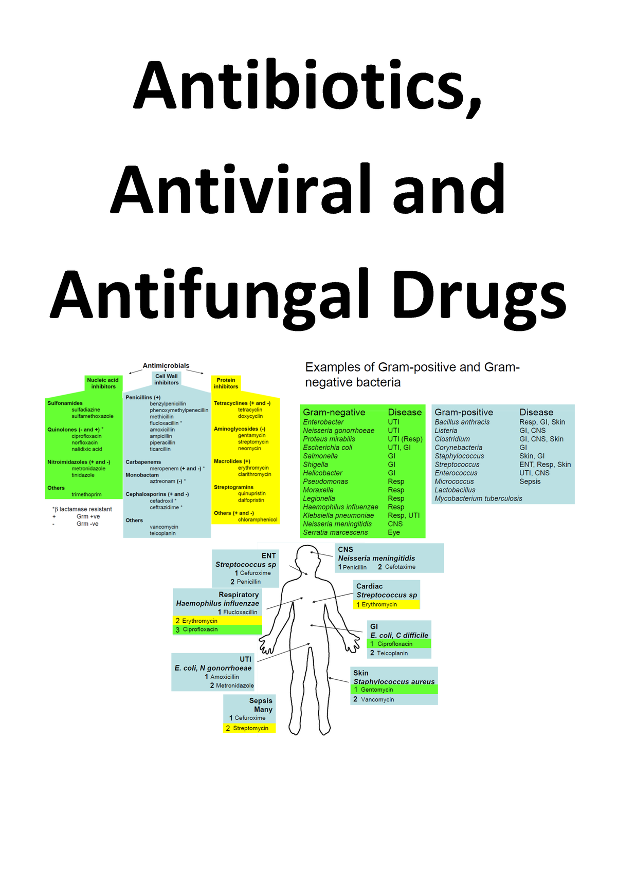 Antibiotics, Antiviral And Antifungal Drugs - Antibiotics, Antiviral ...