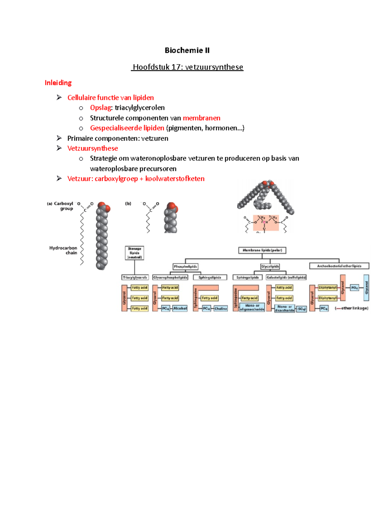 Biochemie Hoofdstuk 17 - Biochemie II Hoofdstuk 17: Vetzuursynthese ...