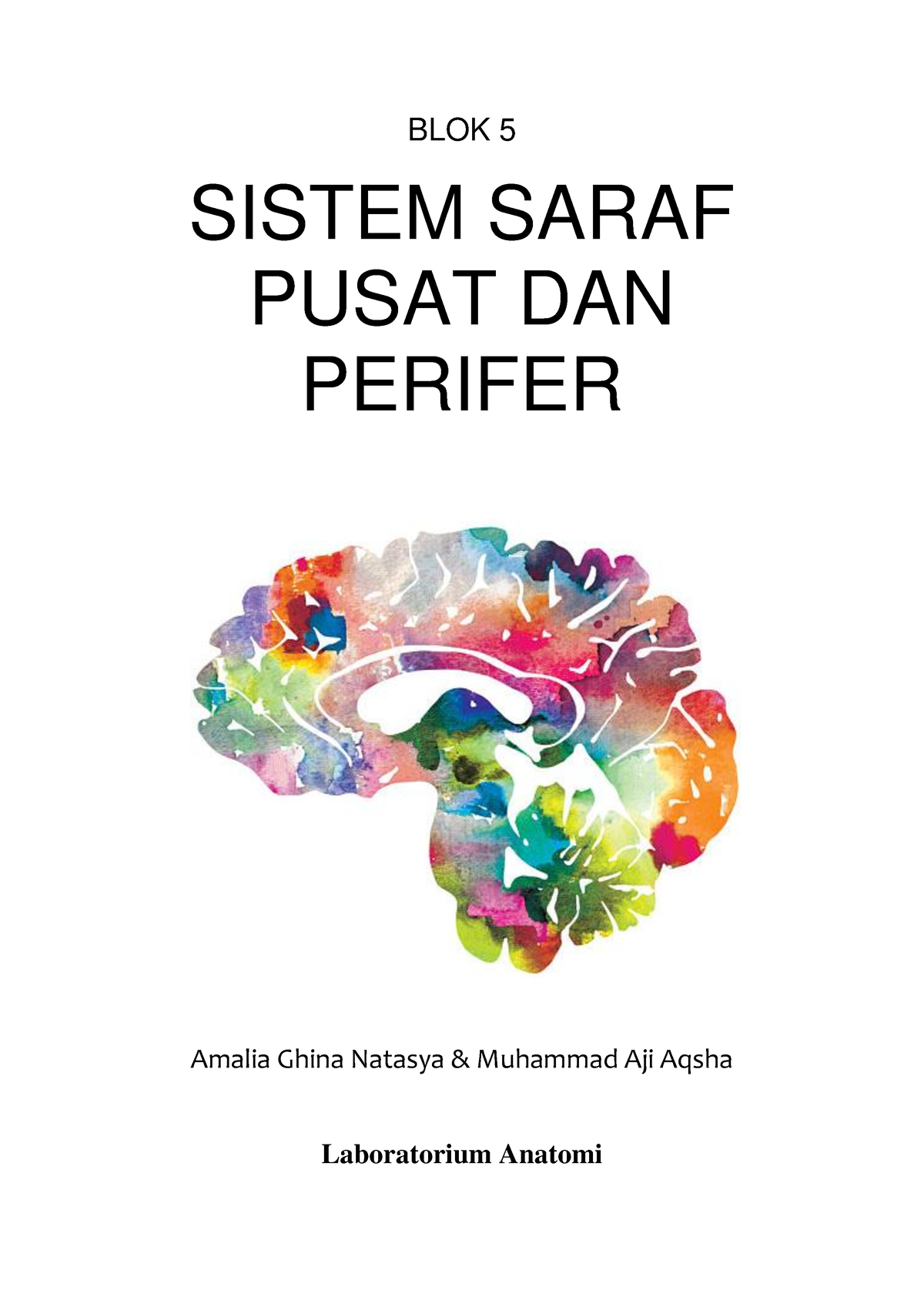 Modul Buku Saku Anatomi Sistem Saraf Pusat Dan Tepi - BLOK 5 SISTEM ...