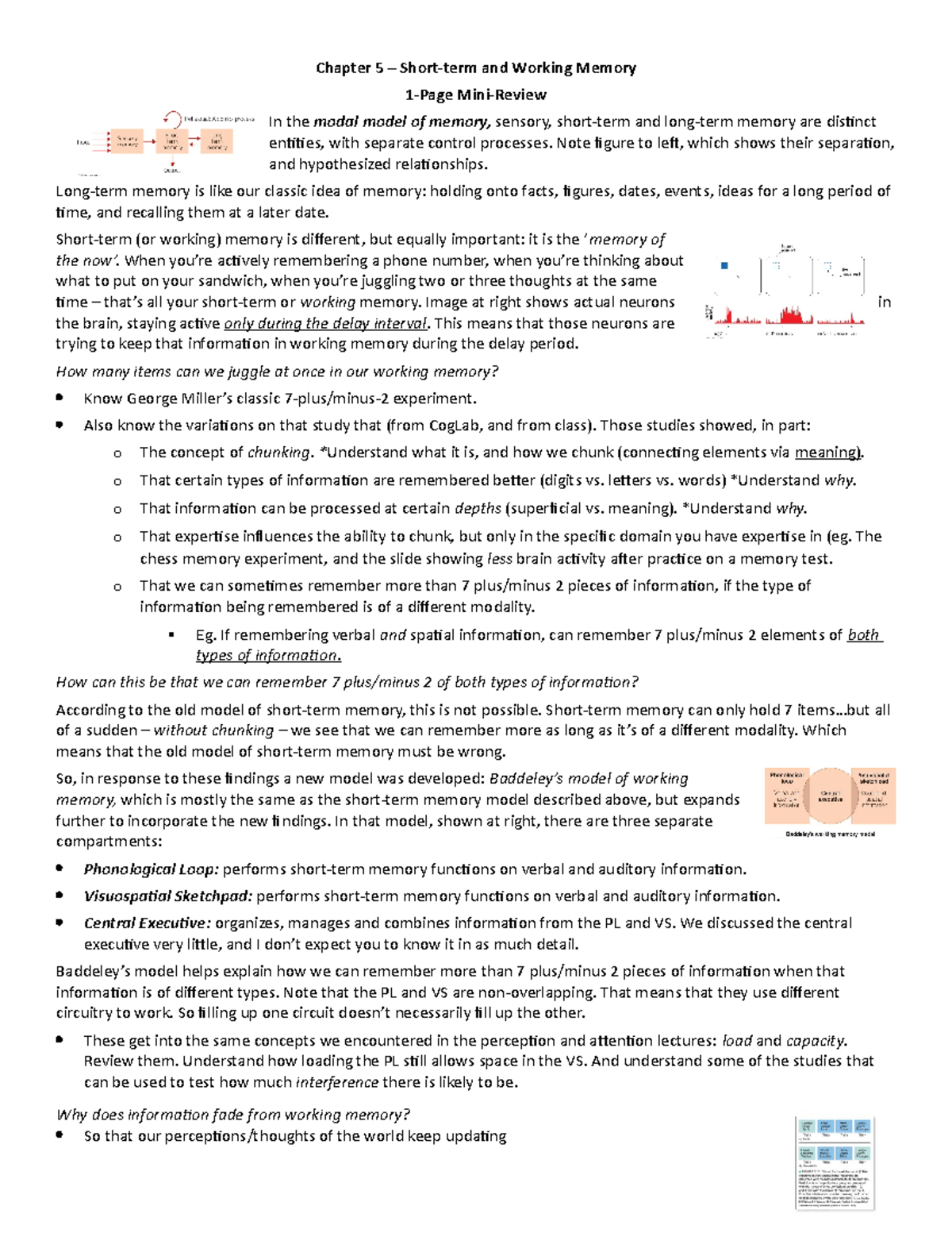Mini review - midterm 2 cog - Chapter 5 and Working Memory In the modal ...