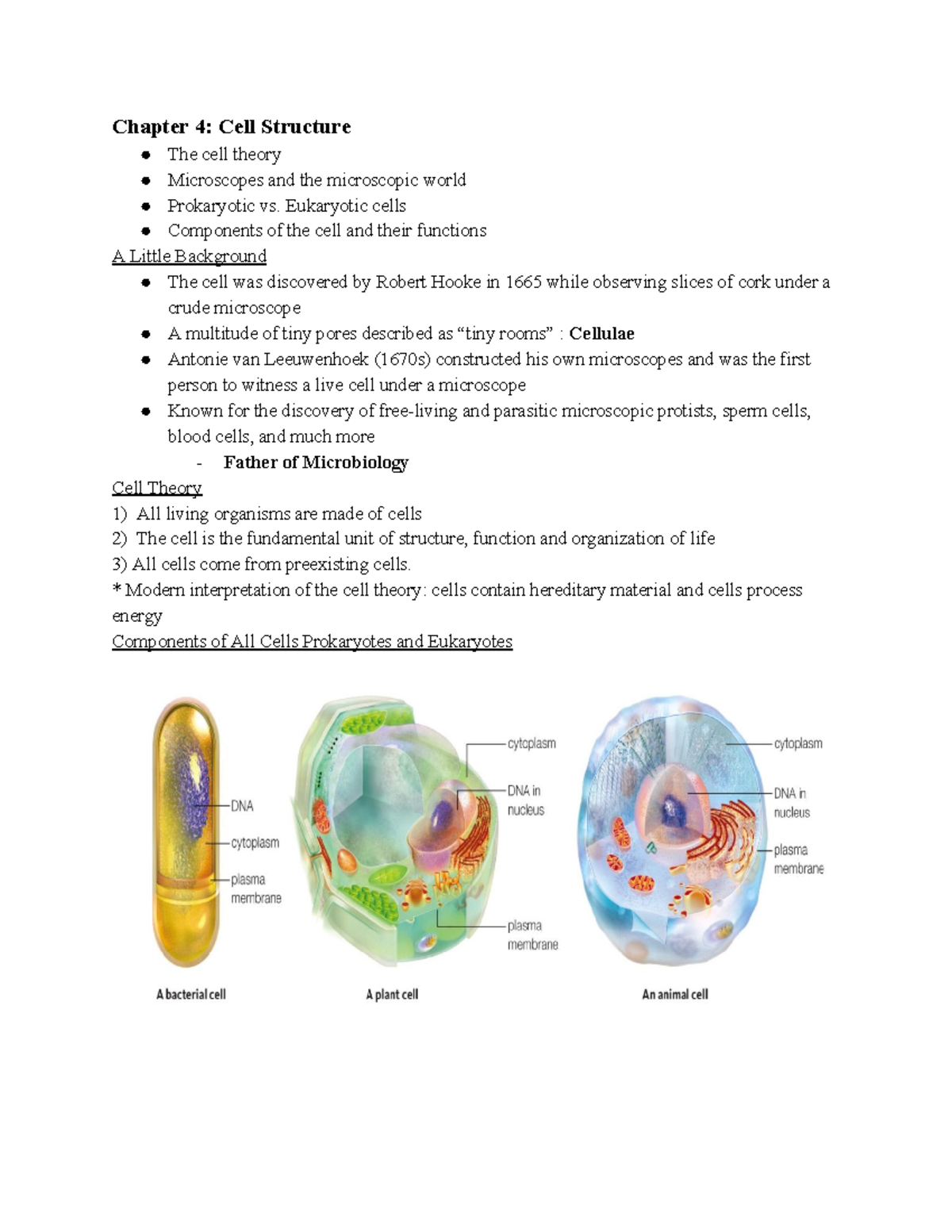 Bio 1 Chap 4 - Lecture Notes 4 - Chapter 4: Cell Structure The Cell ...