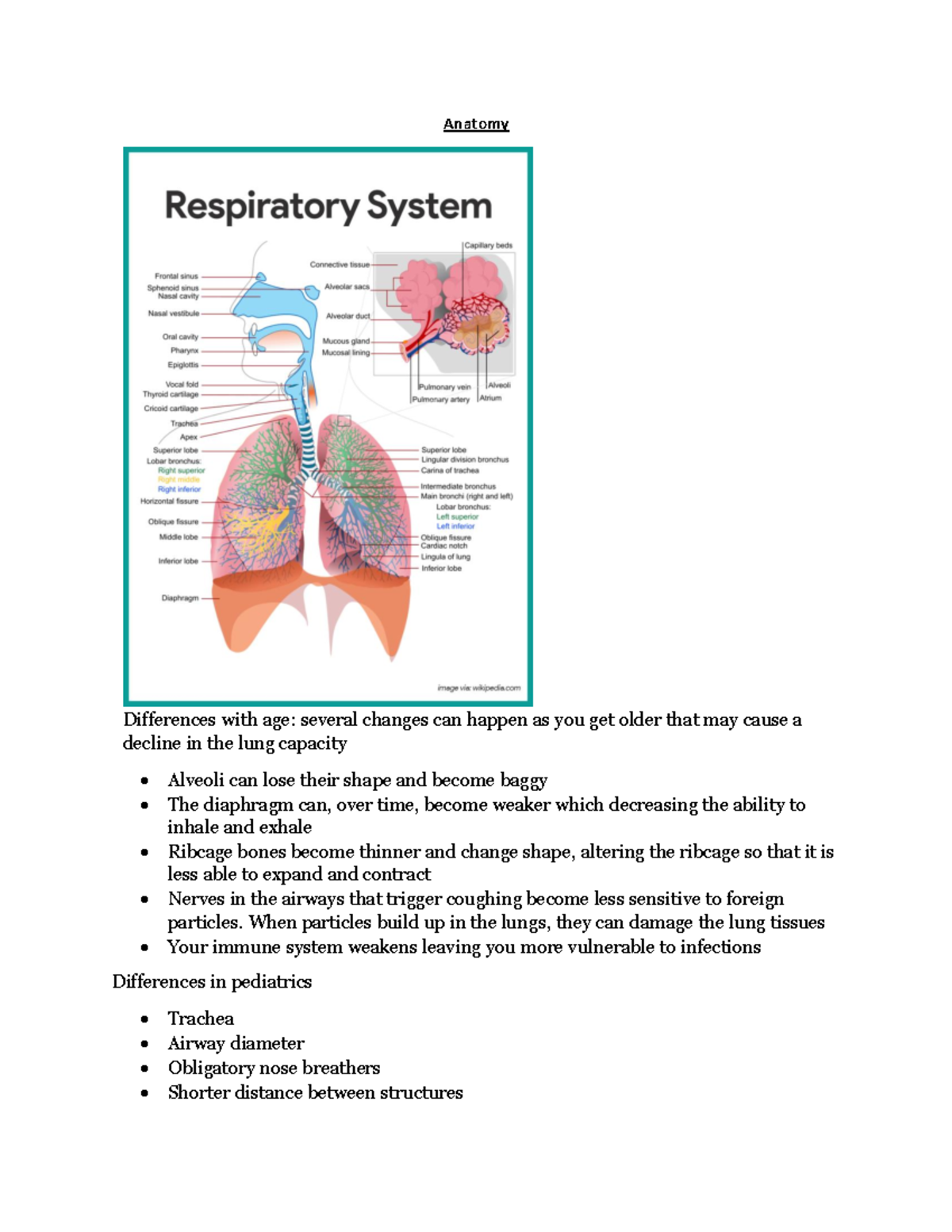 Oxygen therapy Anatomy Differences with age several changes can