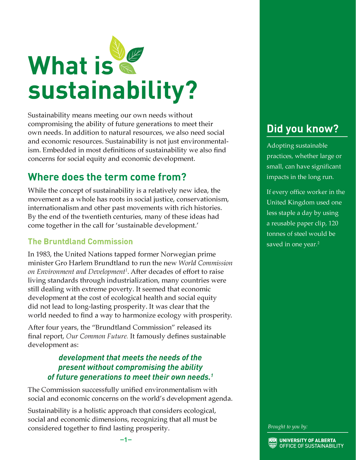 what-is-sustainability-what-is-sustainability-sustainability-means