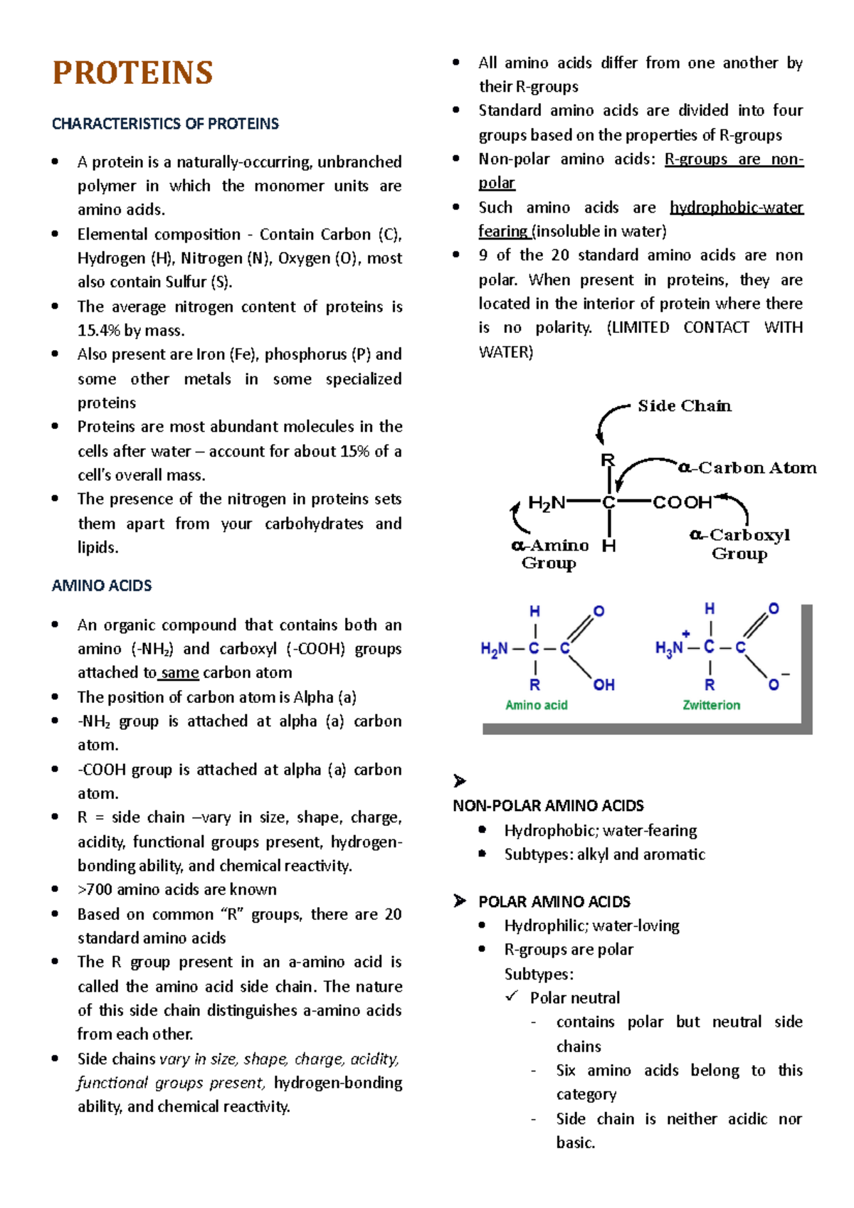 Proteins CHEM113 - Reviewer - PROTEINS CHARACTERISTICS OF PROTEINS A ...