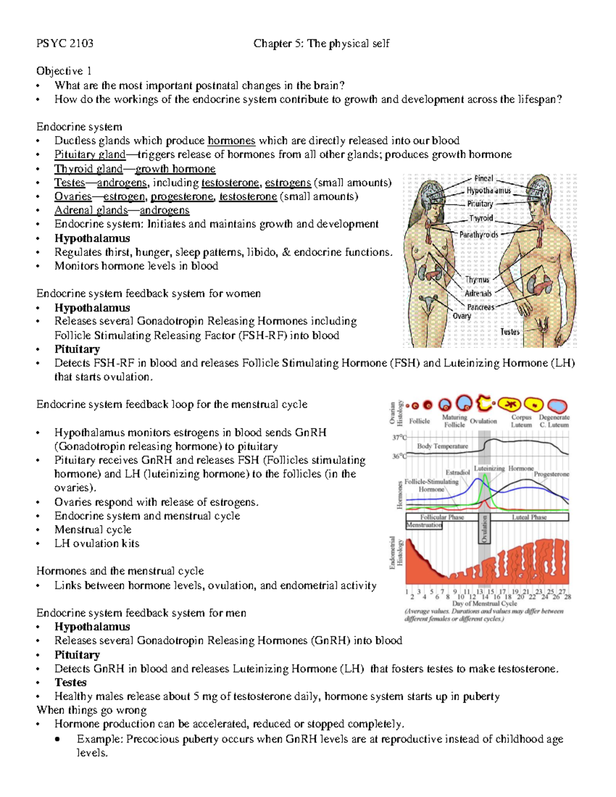 2103 Chapter 05 Physical development Notes - PSYC 2103 Chapter 5: The ...