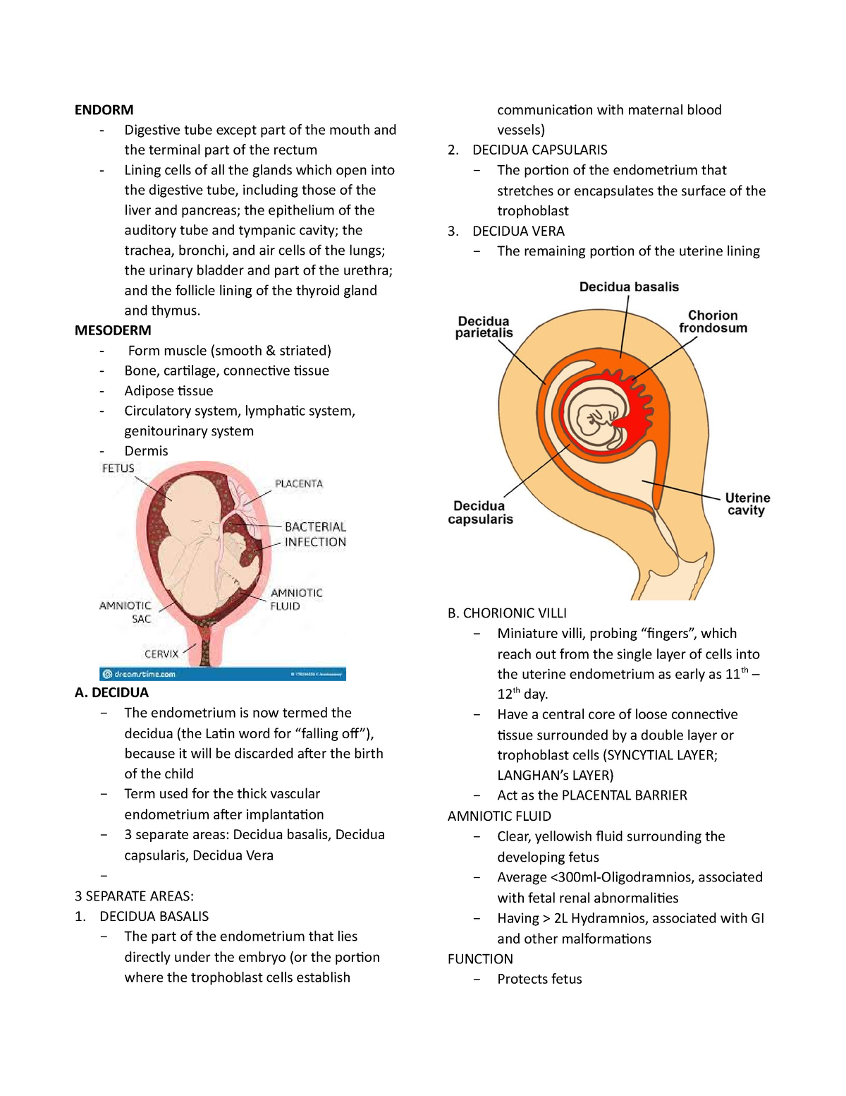 Endoderm - notes-lecture - ENDORM Digestive tube except part of the ...