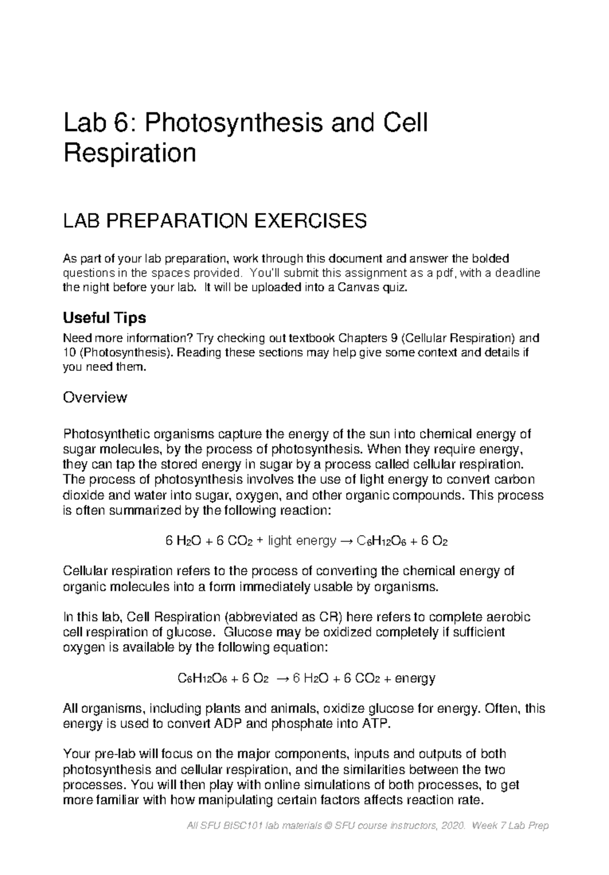 hypothesis for photosynthesis and respiration lab