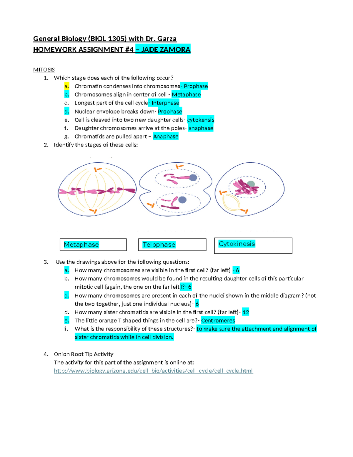 Homework Assignment #4 - Spring 2024 v2 - General Biology (BIOL 1305 ...