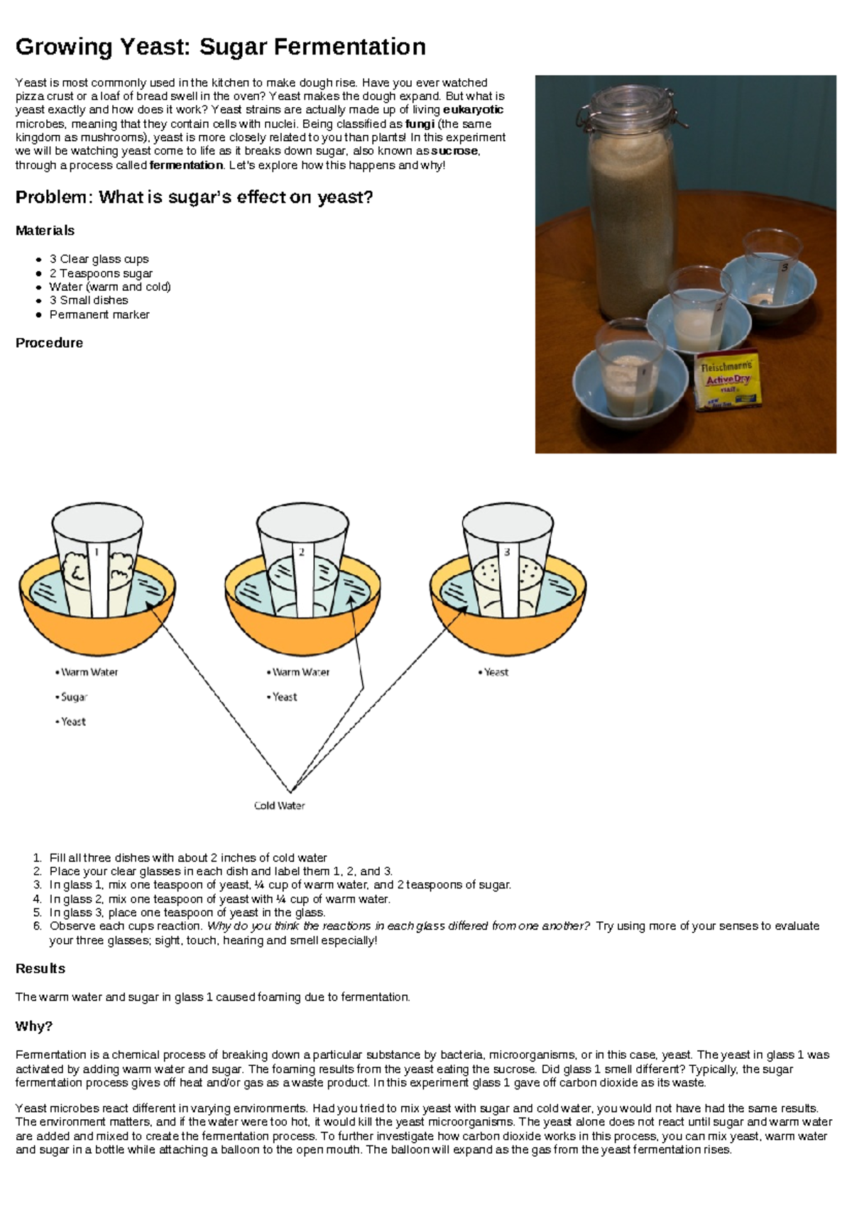 Biology foamy - This is a bio project - Growing Yeast: Sugar ...