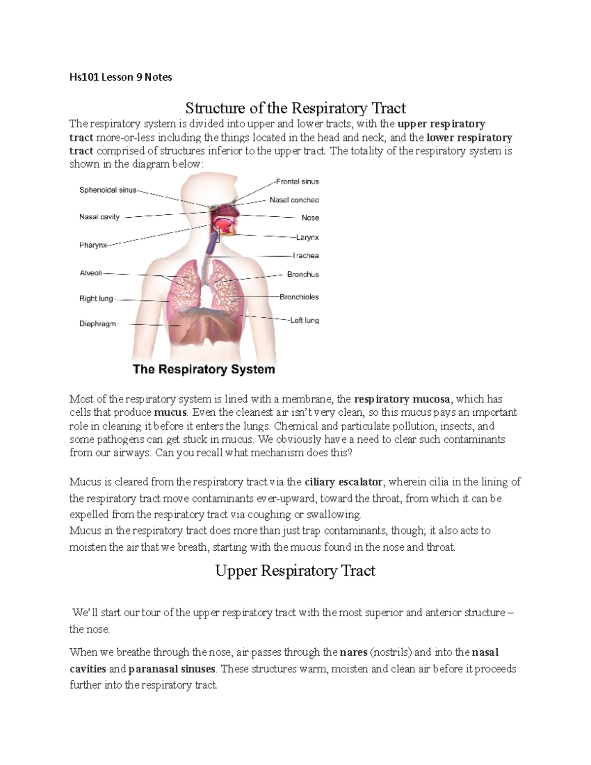 Hs101 Lesson 9 Notes - Hs101 Lesson 9 Notes Structure of the ...