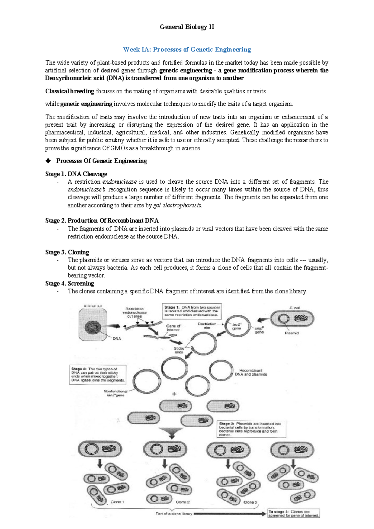 Genbio 2 Notes 1a 1b Ggg Week Ia Processes Of Genetic Engineering