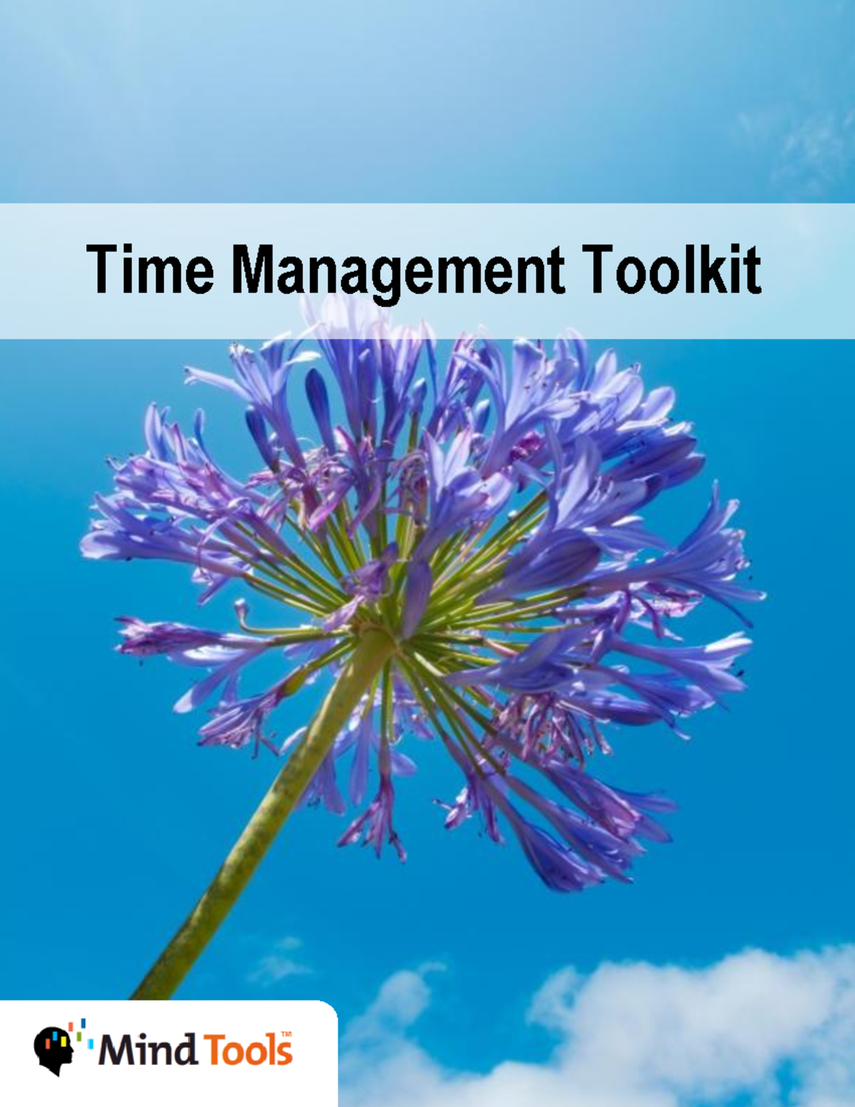 Time Management Toolkit Version 1. Copyright © Mind Tools 20092011