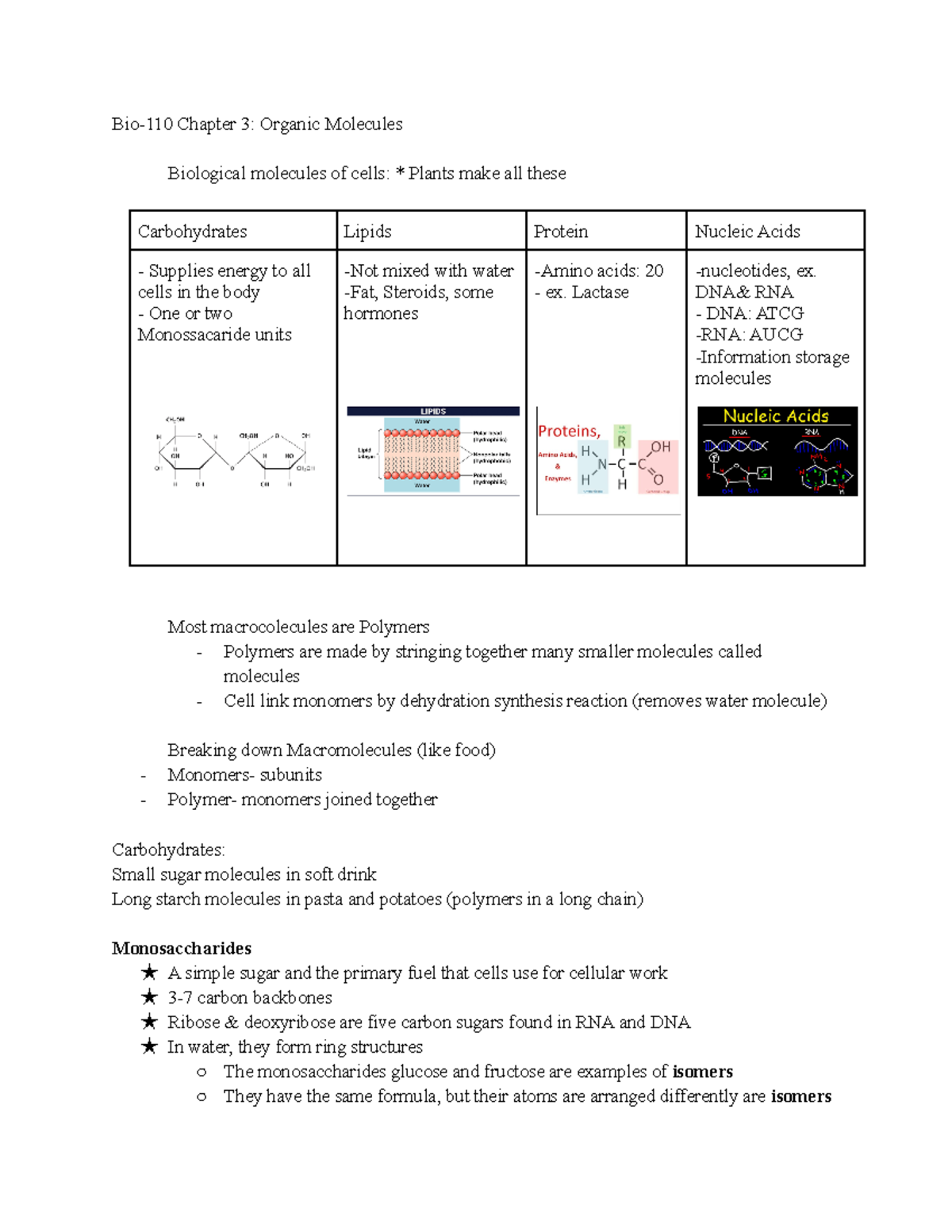 Bio110 Organic Molecules Bio110 Chapter 3 Organic Molecules
