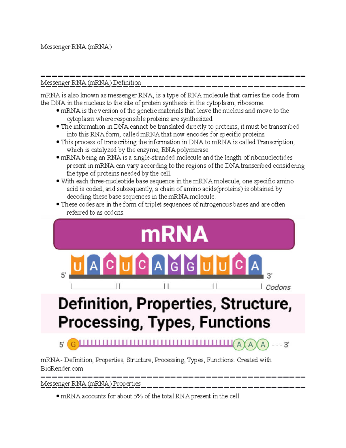 Messenger RNA (m RNA) notes Messenger RNA (mRNA) Messenger RNA