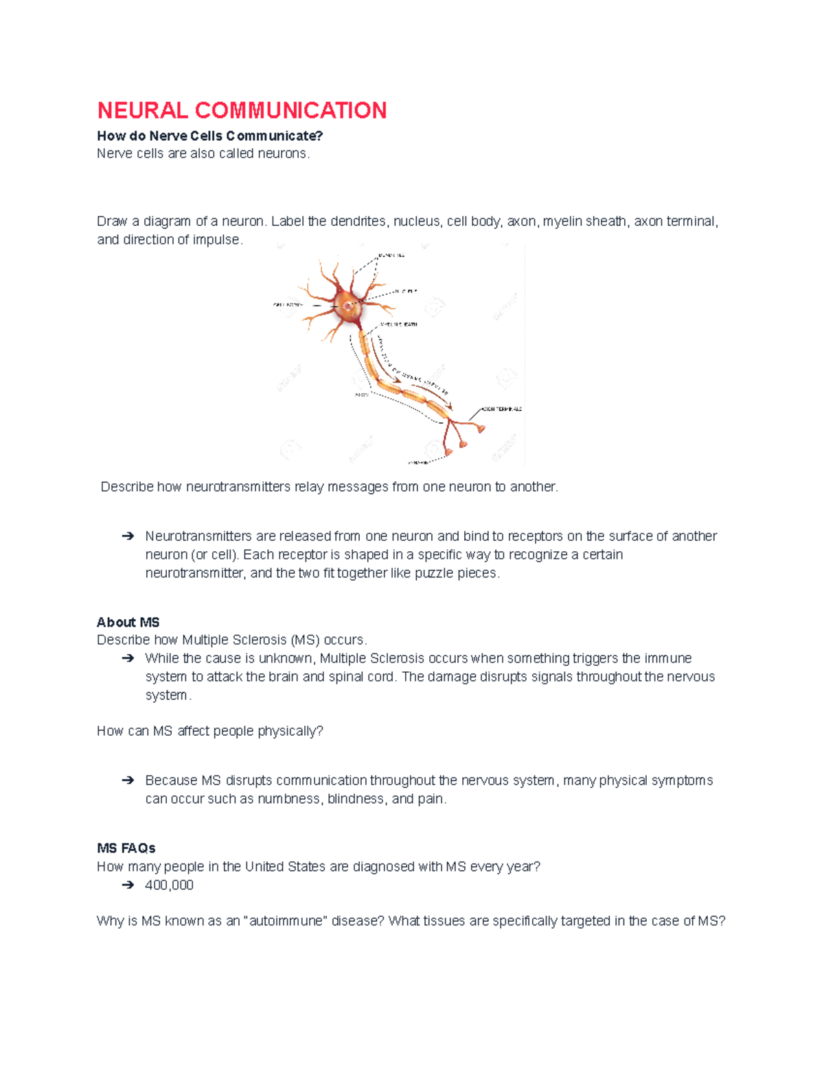 case study neurons and cell communication answer key