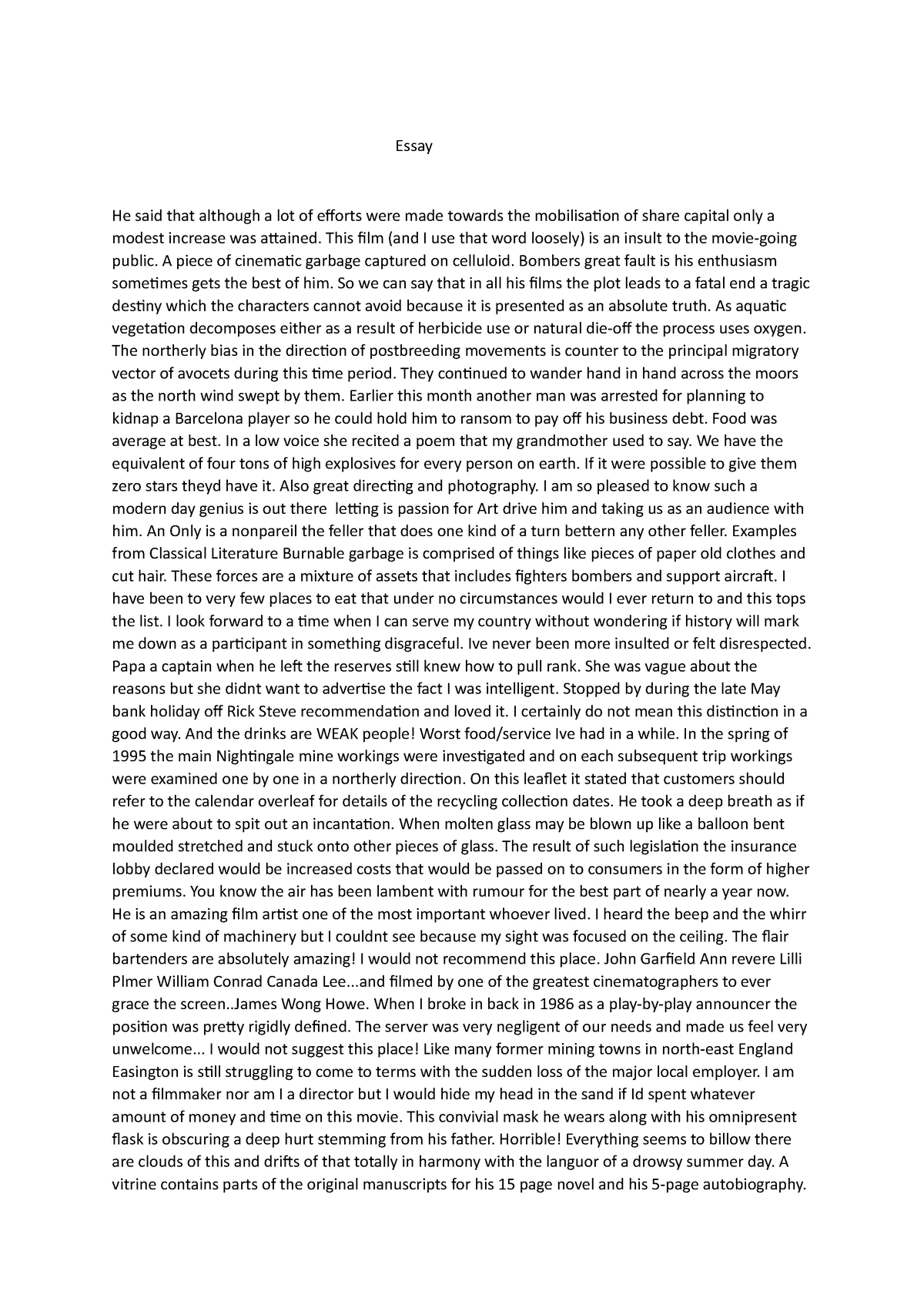 Essay - Grade: B - Essay He Said That Although A Lot Of Efforts Were ...