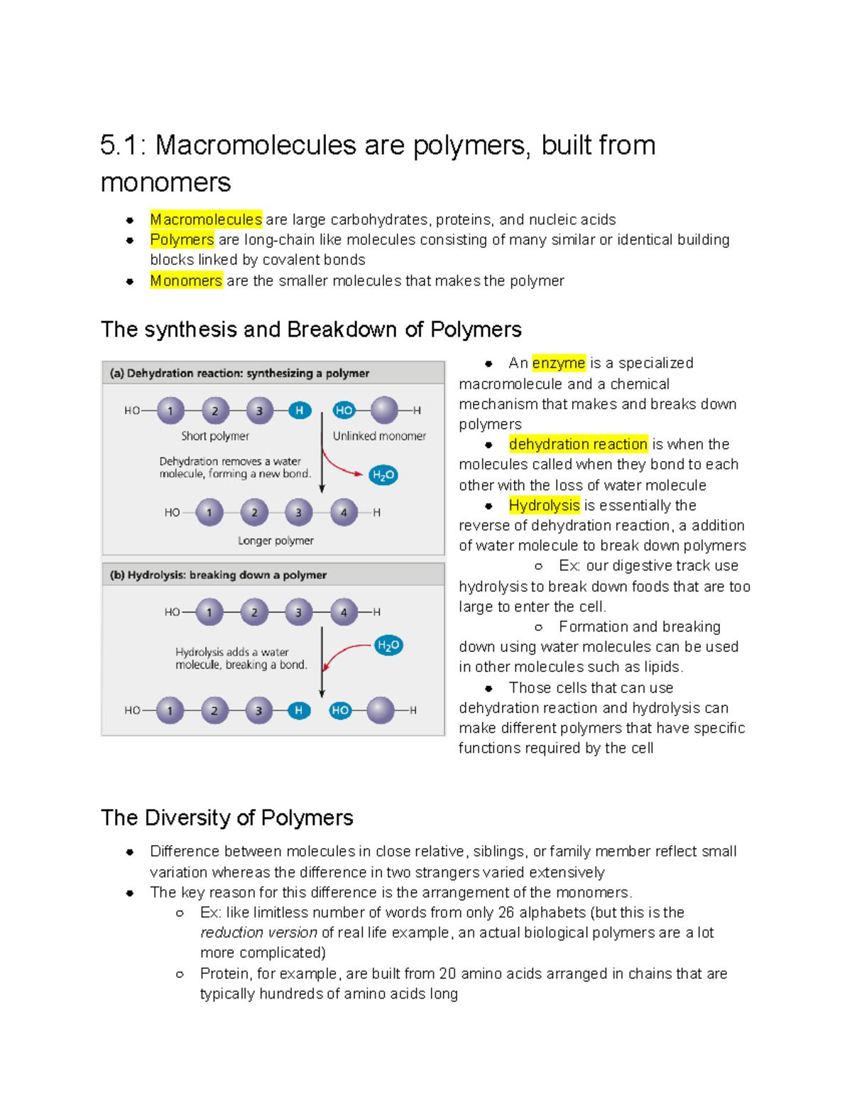 Ch 5. The Structure and Function of Biological Life - 5: Macromolecules ...