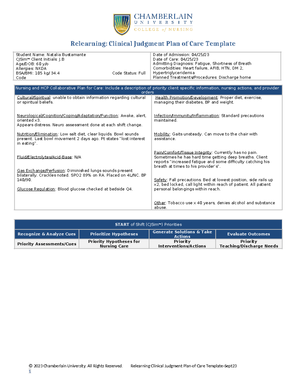 Relearning Clinical Judgment Plan of Care Template Sept23 Student