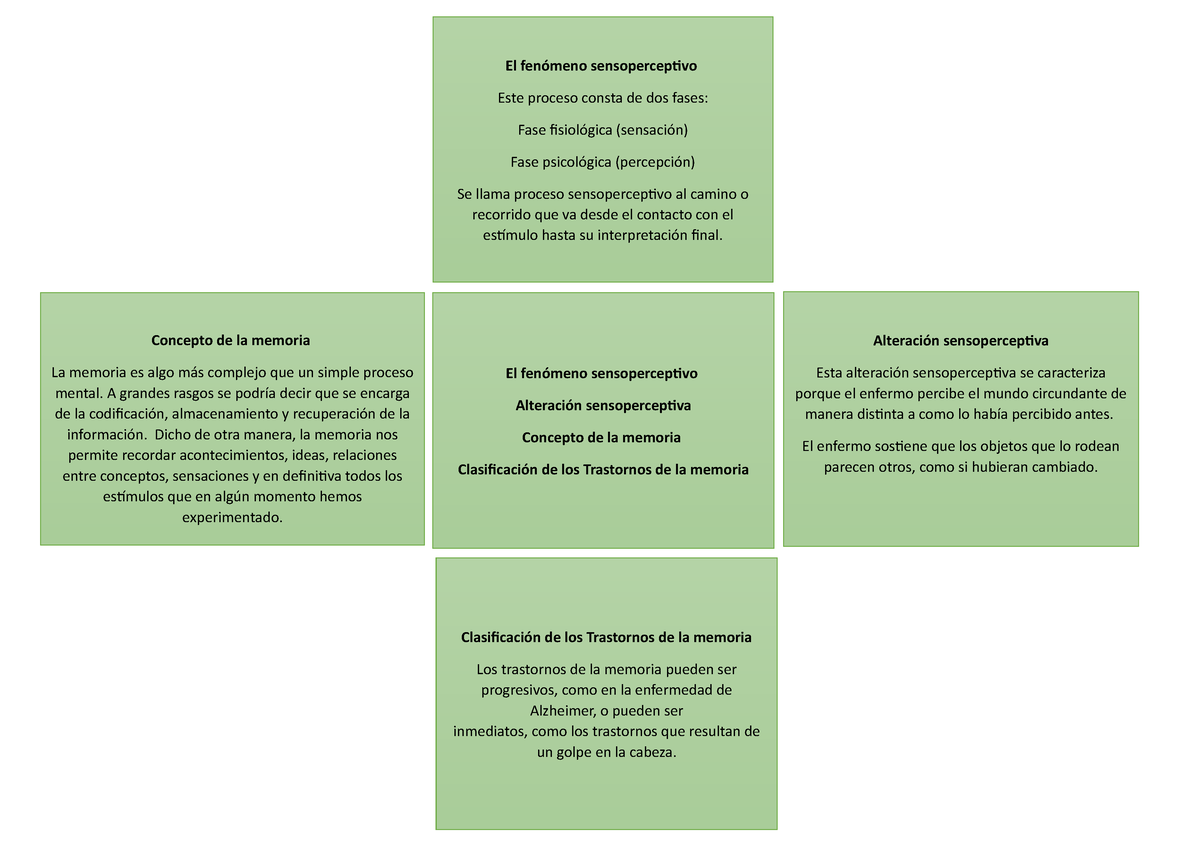 Psicopatologia Cruz Categorial 2 El Fenomeno Sensoperceptivo Este Proceso Consta De Dos Fases Studocu