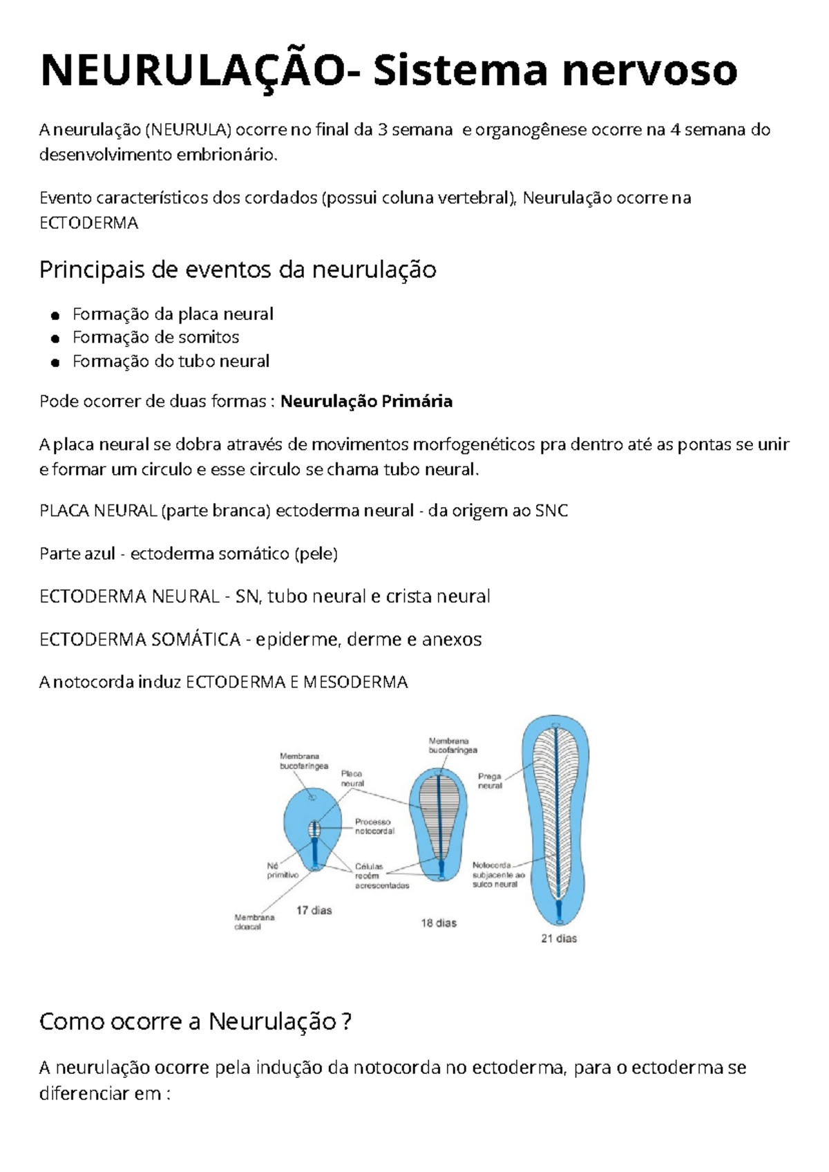 Neurulação - NEURULAÇÃO- Sistema nervoso A neurulação (NEURULA) ocorre ...