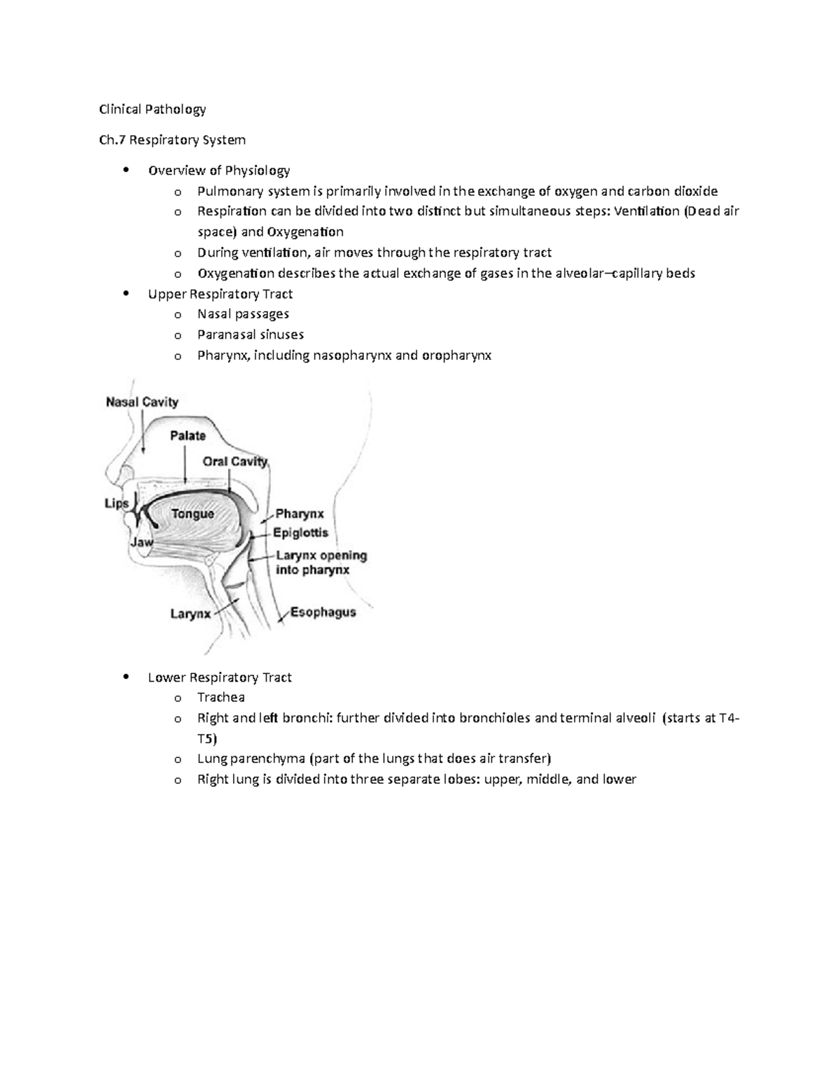 Respiratory System - Rhonchi – sounds like a sonar, low pitched wheeze ...