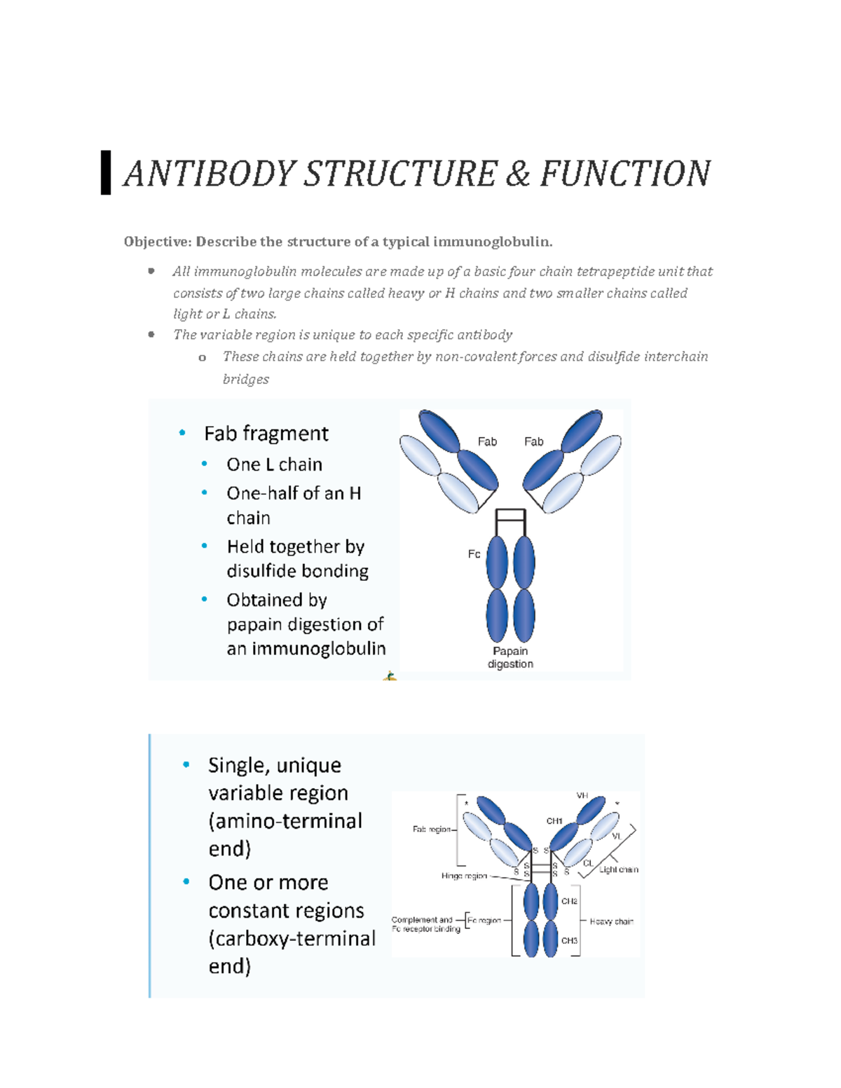 Antibody Structure and Function ANTIBODY STRUCTURE & FUNCTION