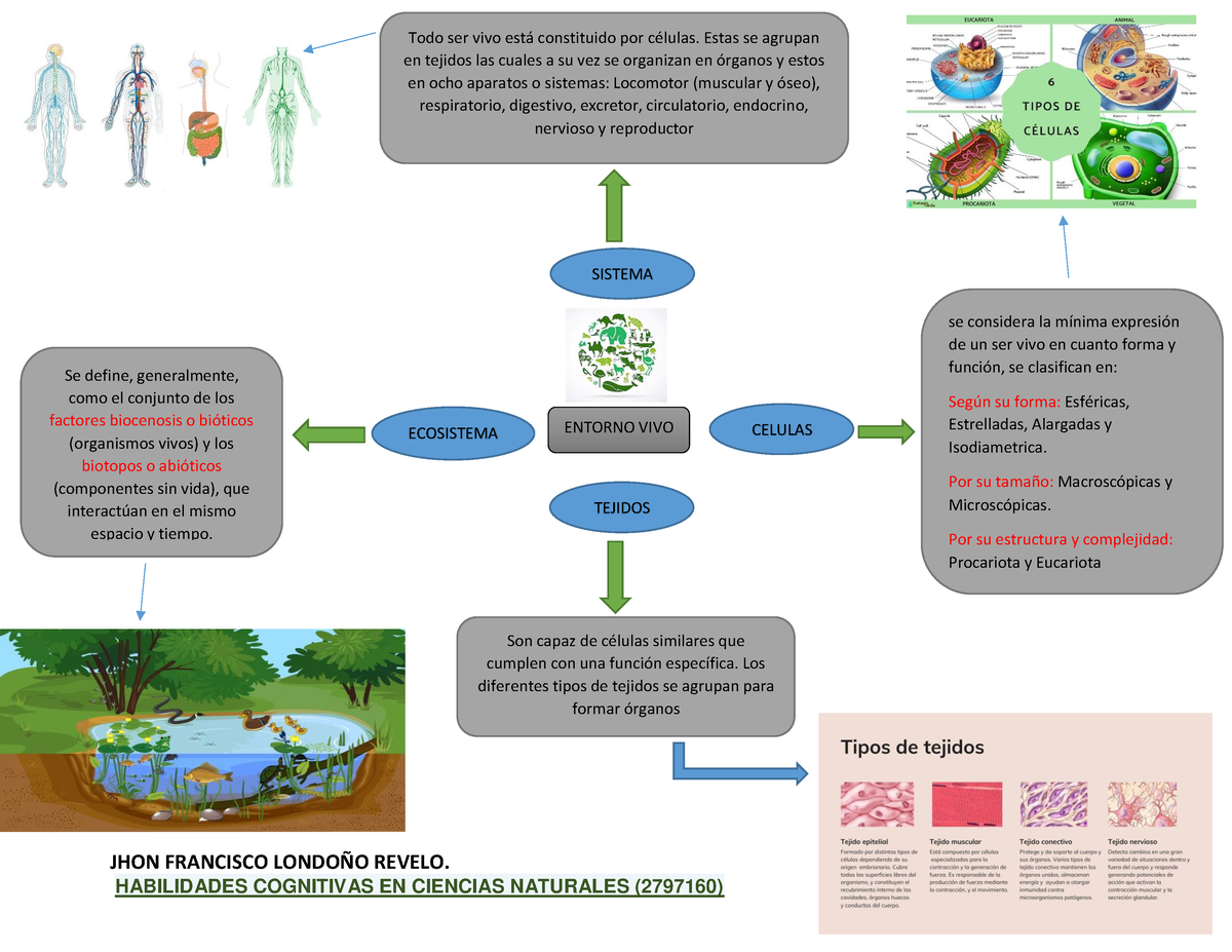 Aa1 Ev01 Mapa Mental Con Los Conceptos Basicos Del Entorno Vivo Jhon