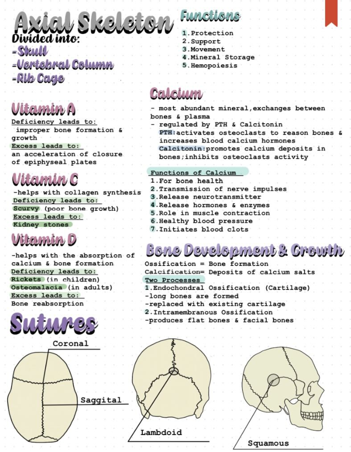 Anatomy And Physiology - BIOL 2250 - Studocu