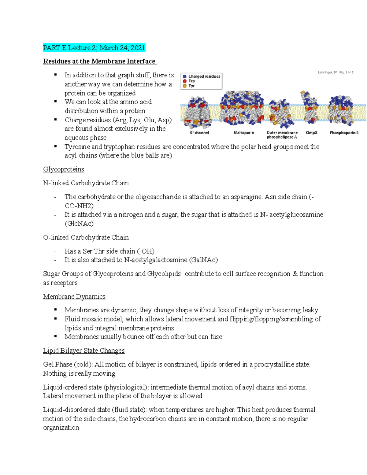 BIOC 3560 Part E Lecture 2 - PART E Lecture 2; March 24, 2021 Residues ...