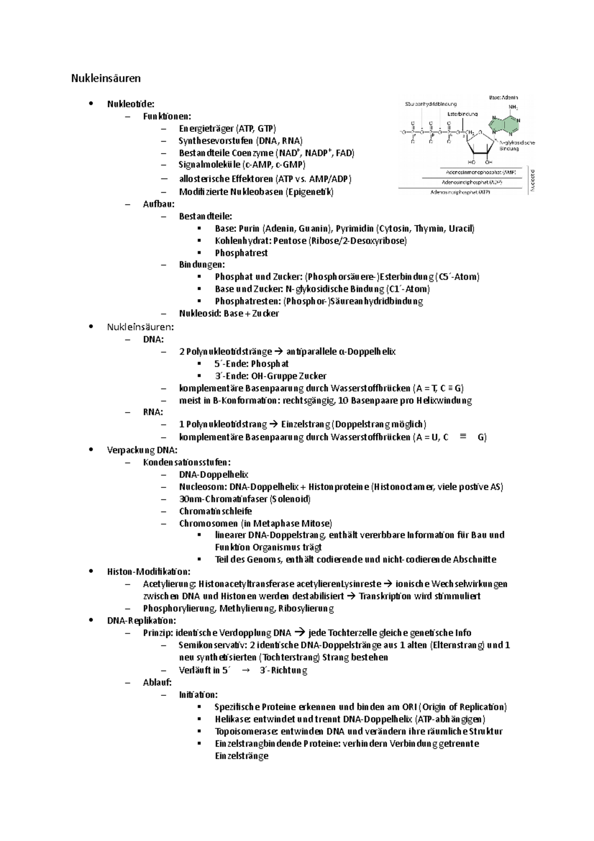 nukleins-uren-nukleins-uren-nukleotide-funktionen-energietr-ger