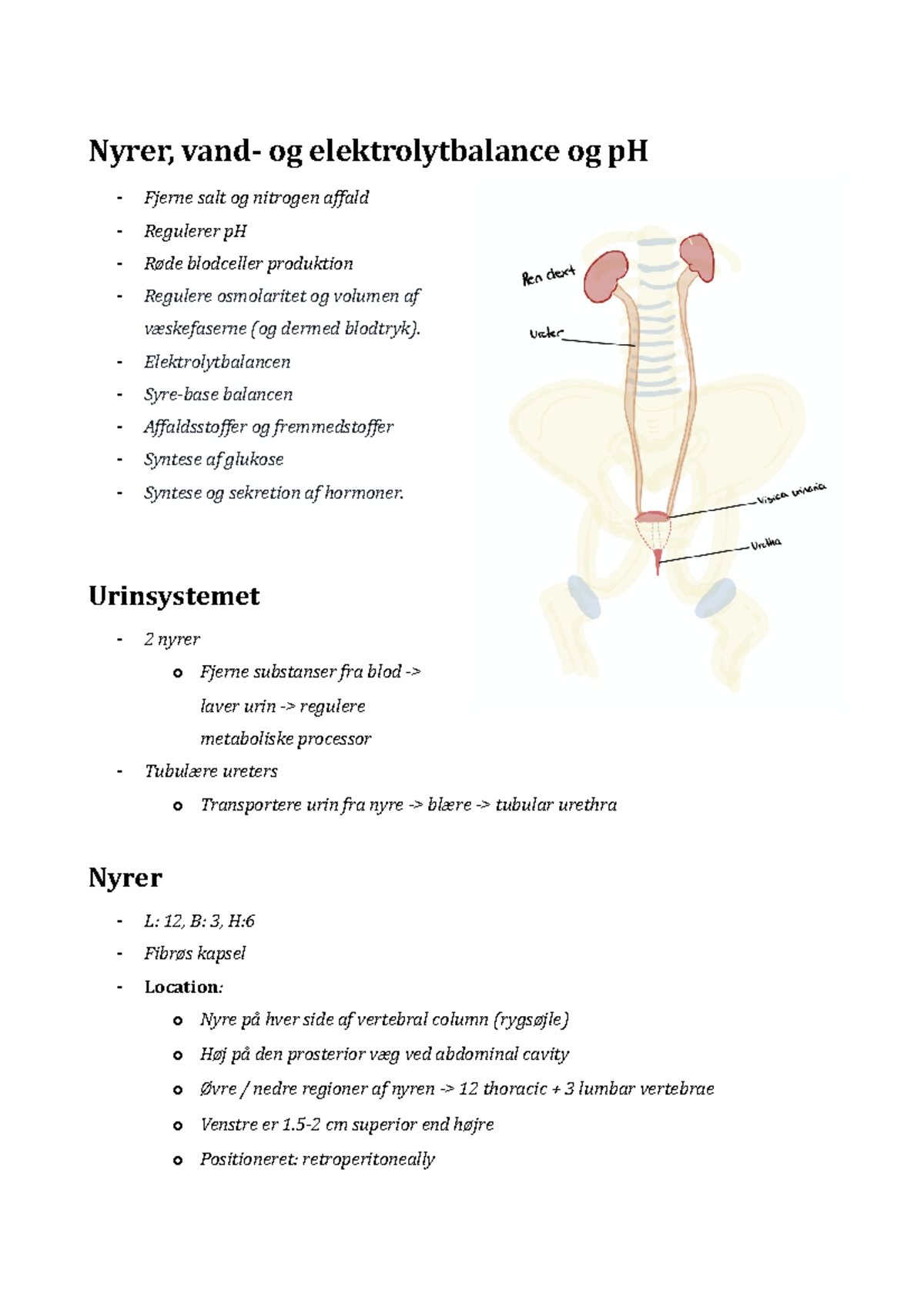 Nyrer, vand- og elektrolytbalance og p H - Nyrer, og elektrolytbalance ...
