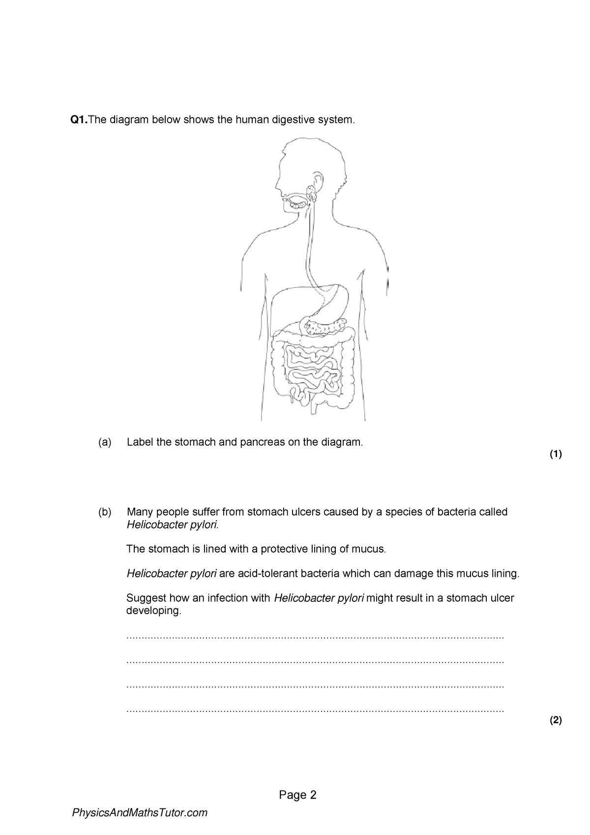 2.2 Animal Tissues, Organs & Systems 3 Qp - Page 2 Q1 Diagram Below 