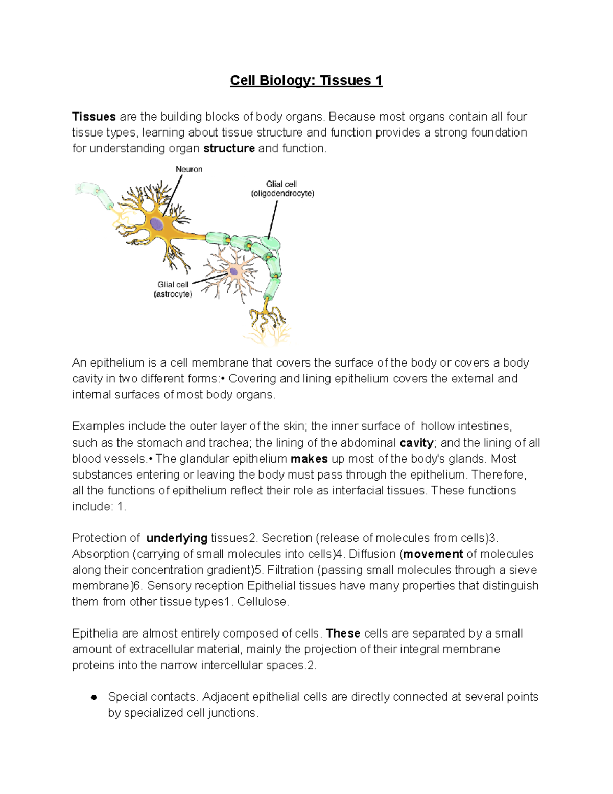 Cell Biology Tissues Because Most Organs Contain All Four Tissue Types Learning About