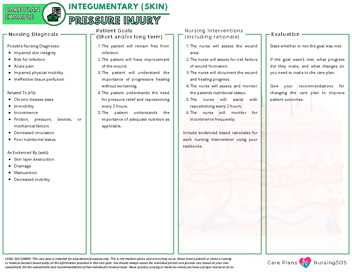 Example - Care Plan - Pressure Injury - C a r e P l a n s N u r s i n g ...